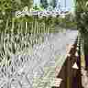 حماية ممتازة