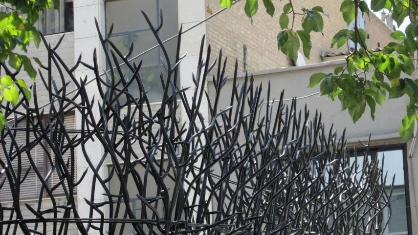 مزایای حفاظ شاخ گوزنی
