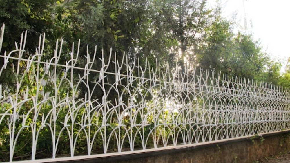 کاربرد حفاظ شاخ گوزنی