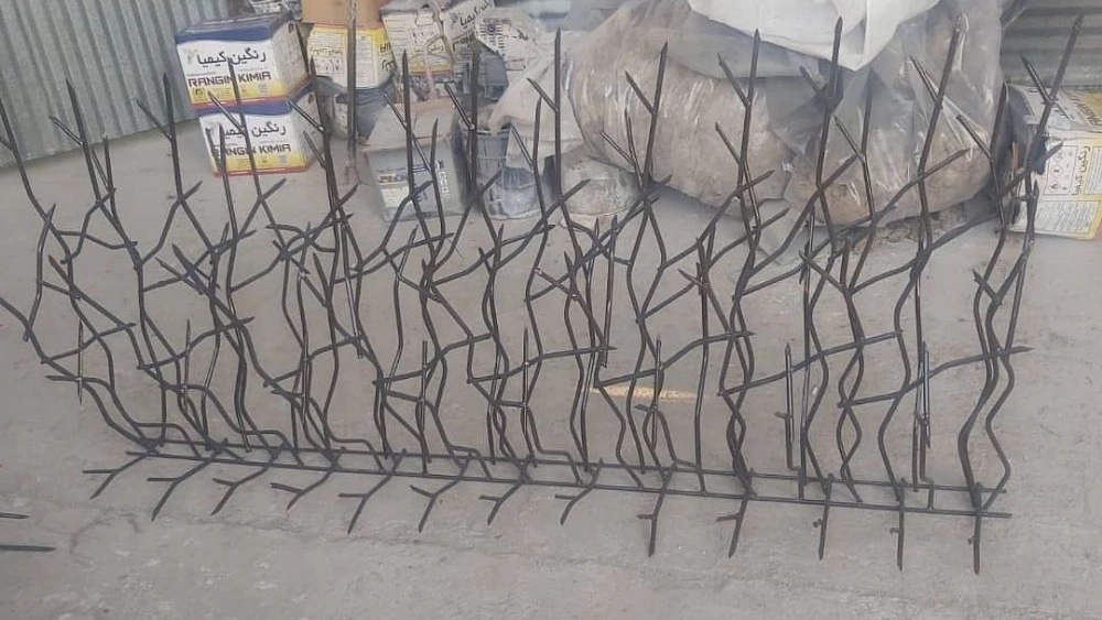 حفاظ ممتاز در تهران