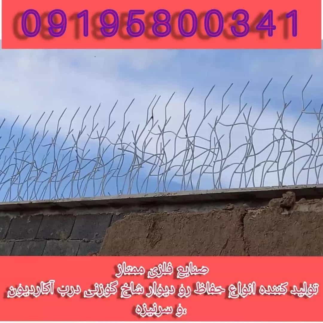 1729500780777.webp
