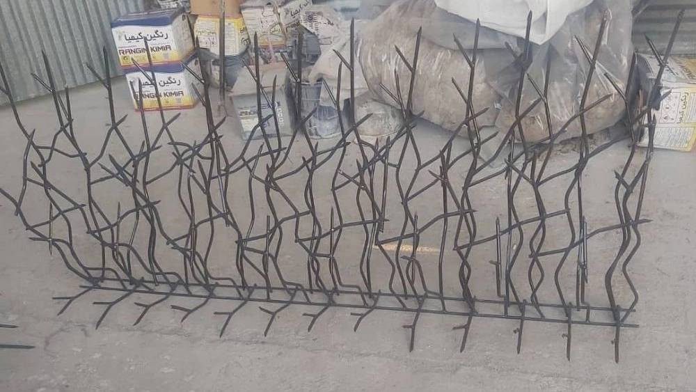 حفاظ ممتاز در تهران