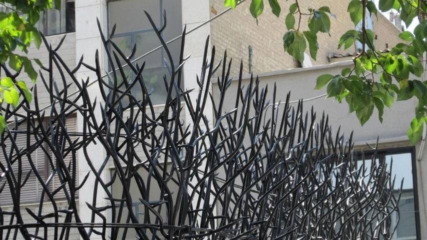 مزایای حفاظ شاخ گوزنی
