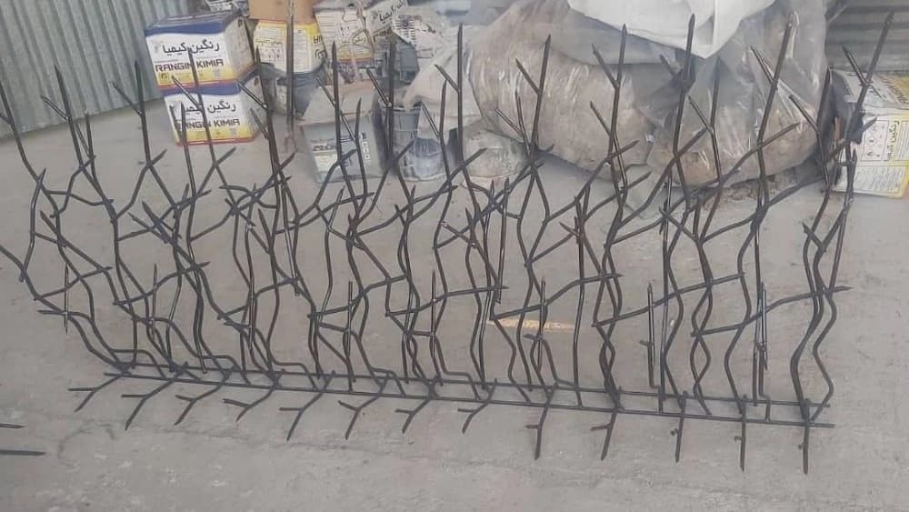 حفاظ ممتاز در تهران