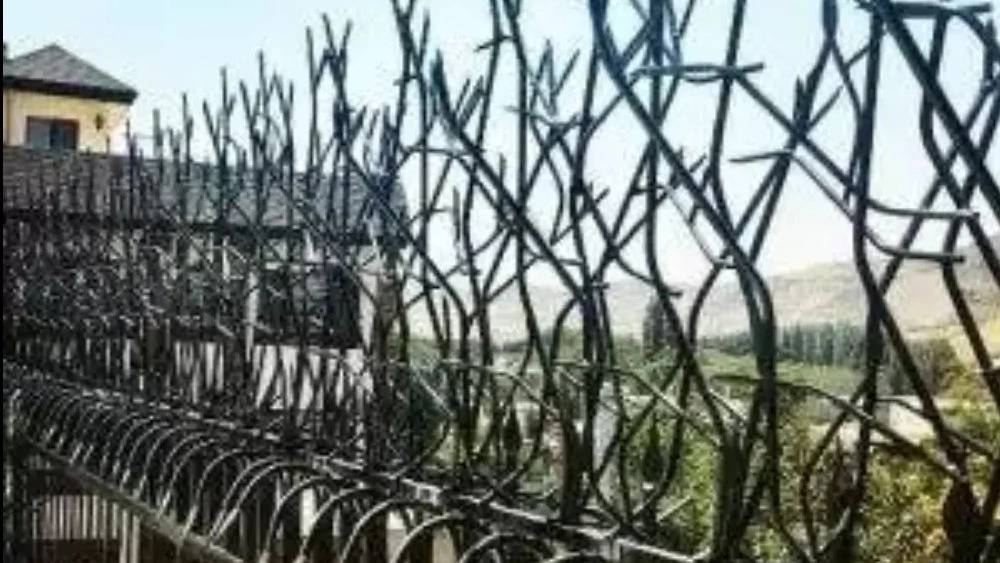 تولید فروش و نصب انواع حفاظ شاخ گوزنی ممتاز اکبری در تهران تولید فروش و نصب انواع حفاظ شاخ گوزنی ممتاز اکبری در تهران