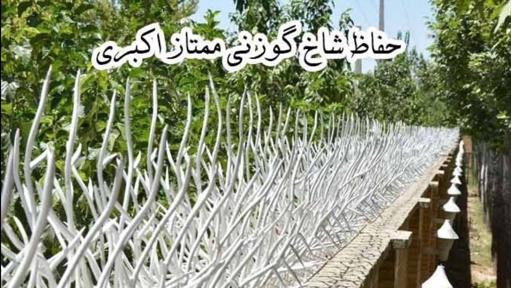 Mumtaz Akbari deer antler guard Mumtaz Akbari deer antler guard