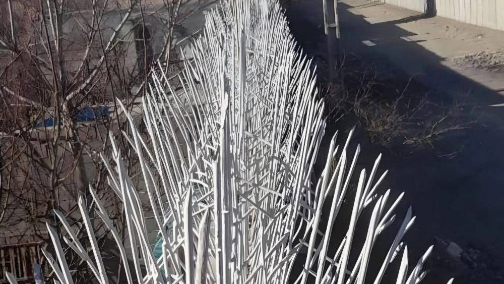 حفاظ ممتاز در تهران حفاظ ممتاز در تهران